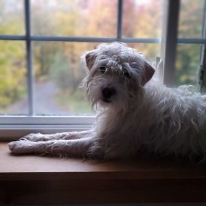 Meet your Posher, Wendy